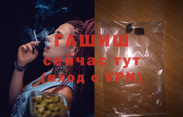 сатива Медногорск