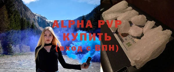 сатива Медногорск