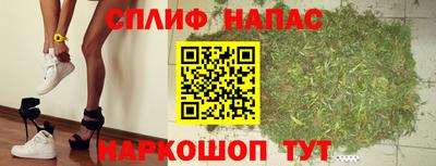 прущие грибы Гагарин