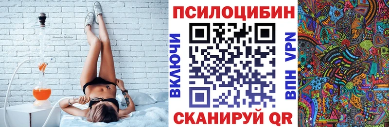 Псилоцибиновые грибы Psilocybe  Майкоп 
