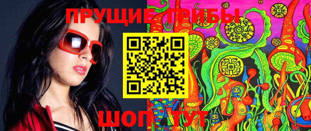 Псилоцибиновые грибы Cubensis  Майкоп 