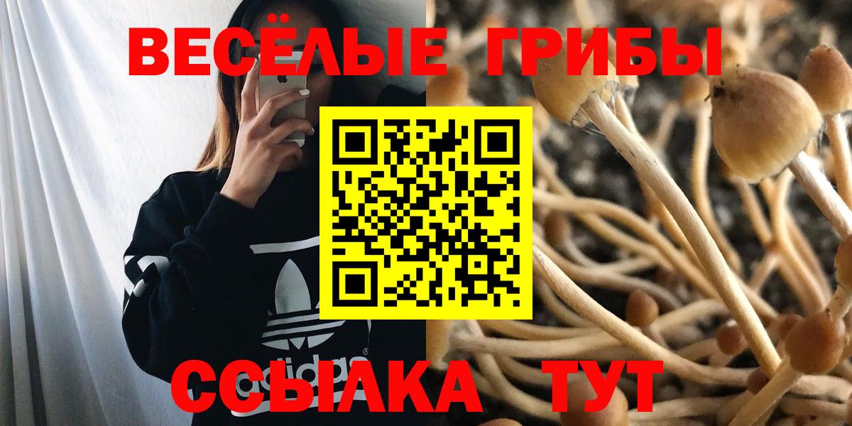 Майкоп  Галлюциногенные грибы ЛСД  Галлюциногенные грибы ЛСД  Вход с VPN 