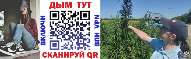 Каннабис ГИДРОПОН  Майкоп 