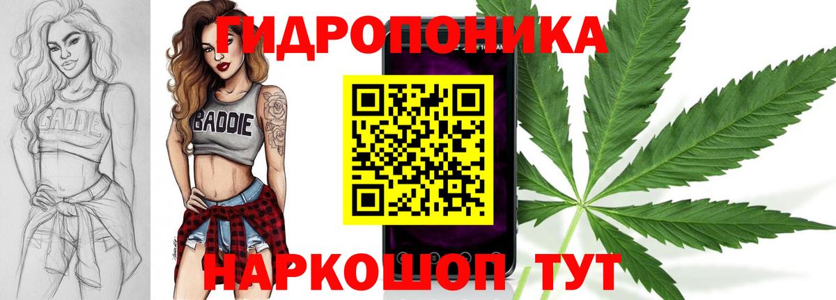 Бошки марихуана SATIVA & INDICA  Бошки Шишки семена  Майкоп  Каннабис SATIVA & INDICA  Конопля ГИДРОПОН 