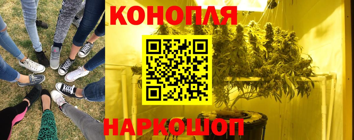 Бошки марихуана планчик Майкоп